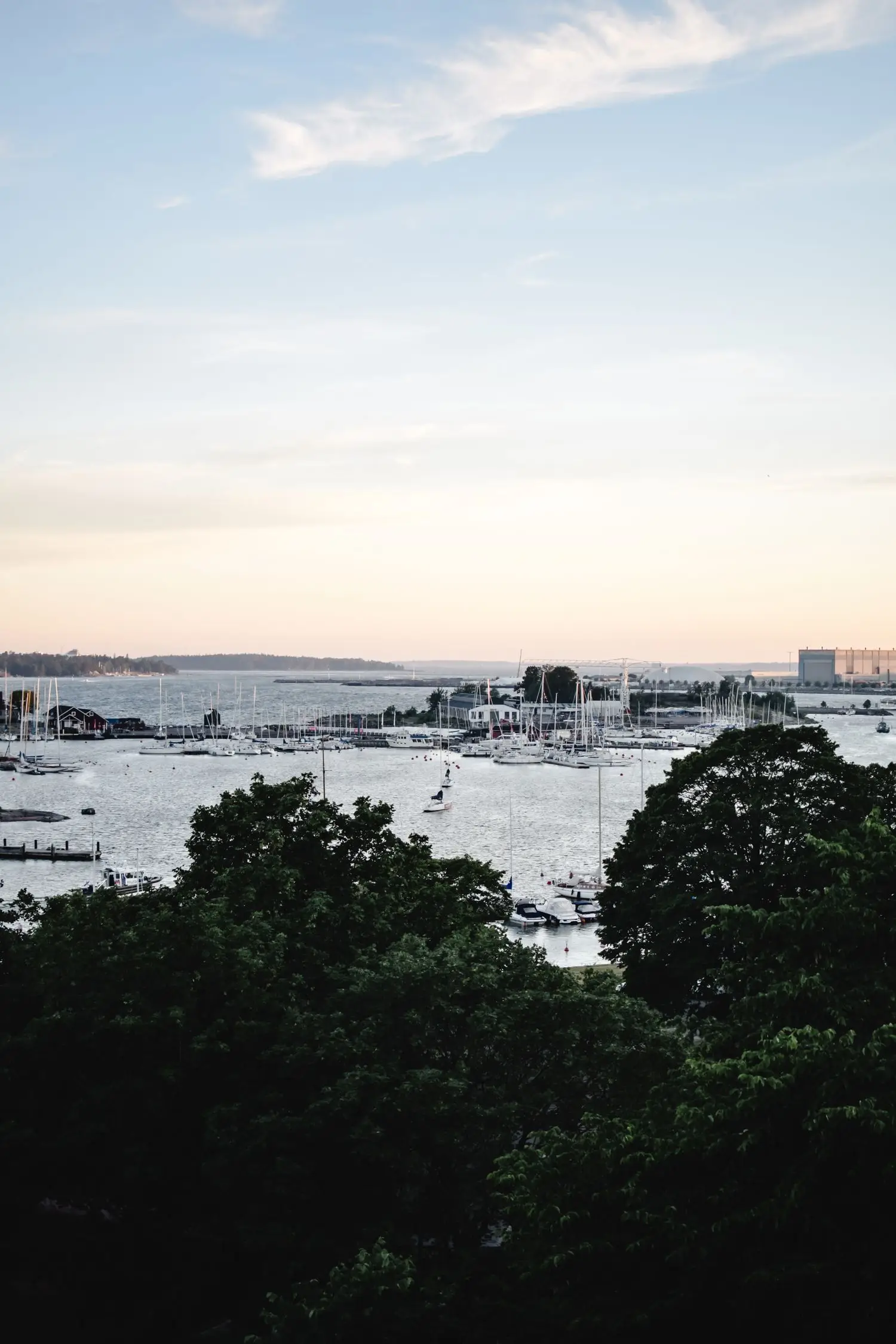 Helsingin merellinen maisema puiden välistä